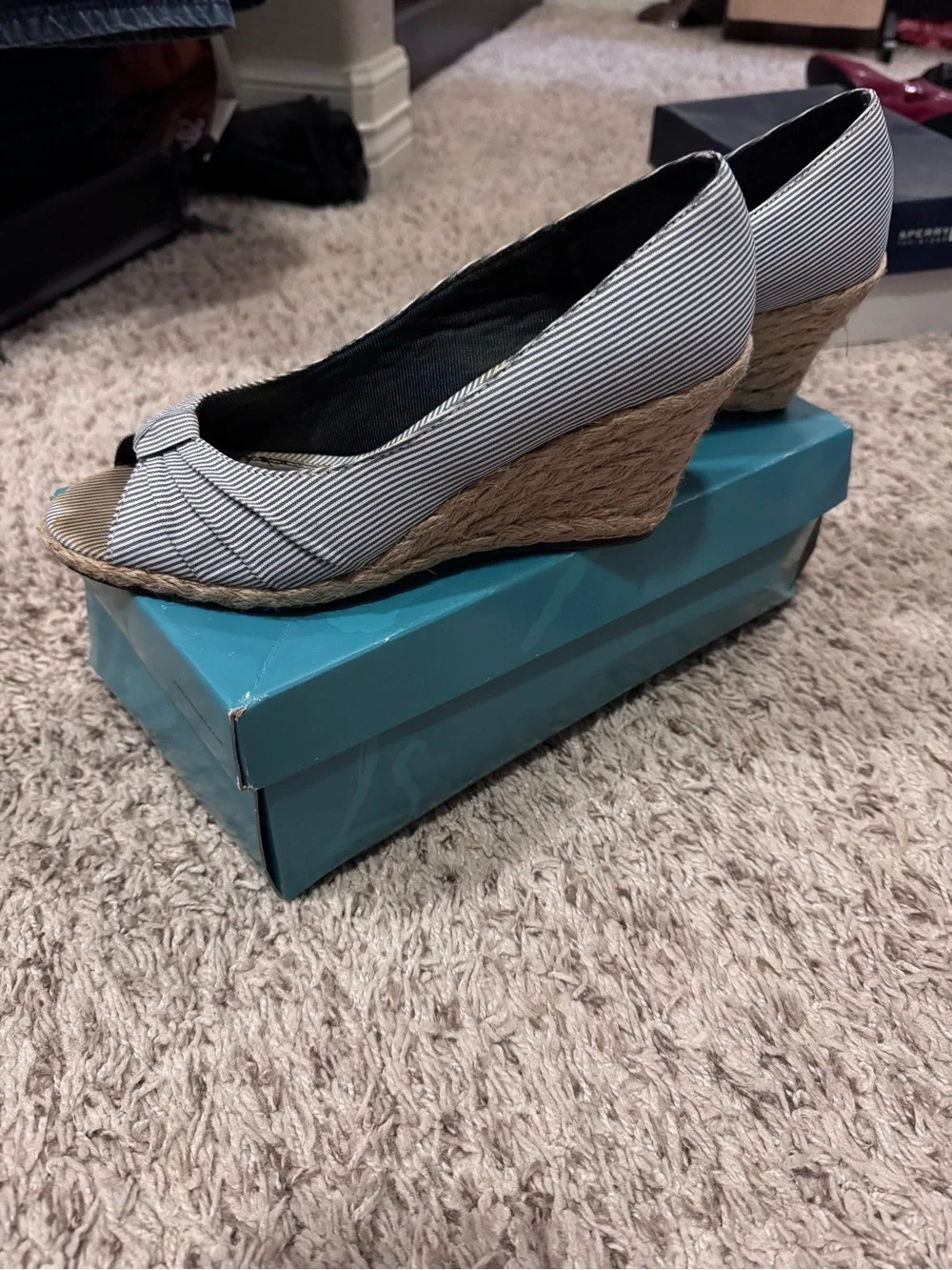 Striped Espadrille Wedge Peep-Toe Women's Shoe - Blue/White